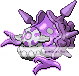 Dittotran.png
