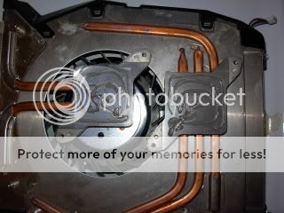 IPB Image