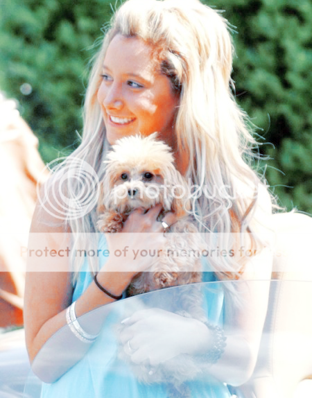 ashley tisdale premade Pictures, Images and Photos