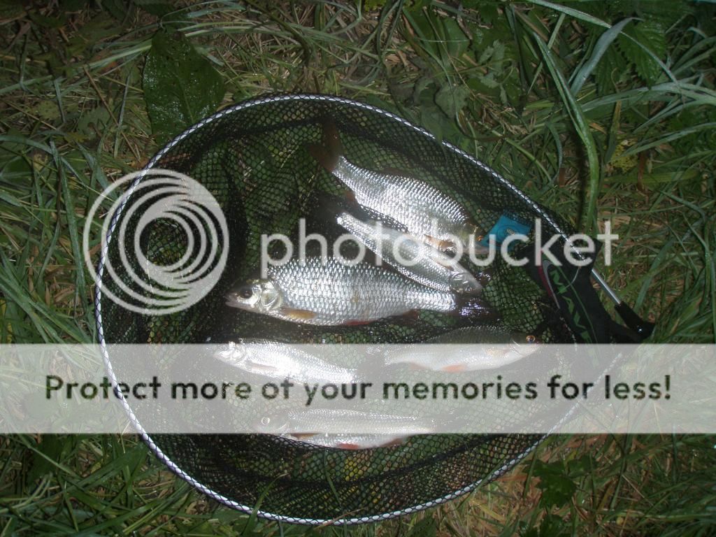 1109141_zpse863dba3.jpg