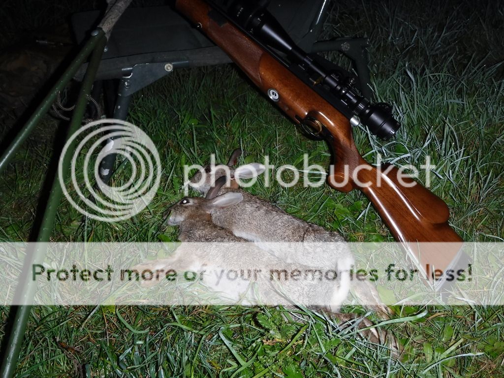 DSCF05372_zpsqsfnhoz8.jpg