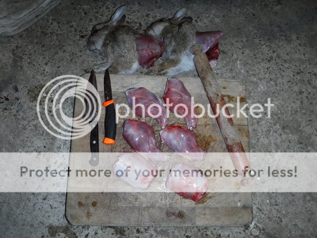 DSCF06821_zpsvrecfjgb.jpg