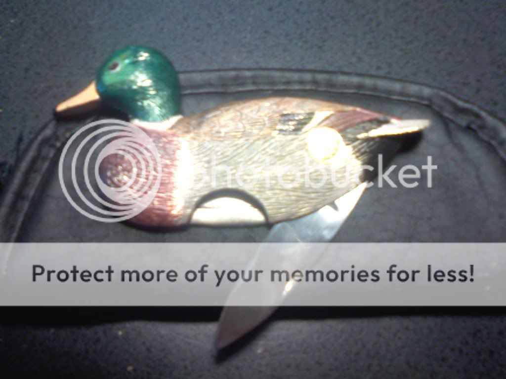 Mallard Knife Duck Hunting Forum