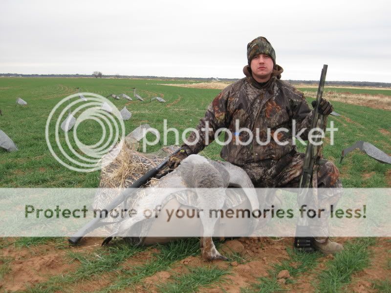 Sandhill Crane Decoys Texas Hunting Forum