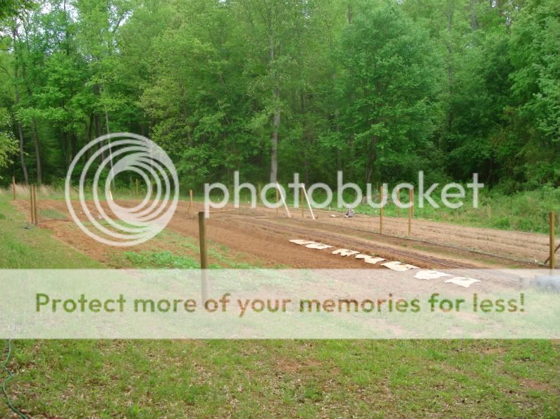 garden types - Gardening & Plant Propagation