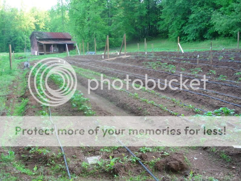 garden types - Gardening & Plant Propagation