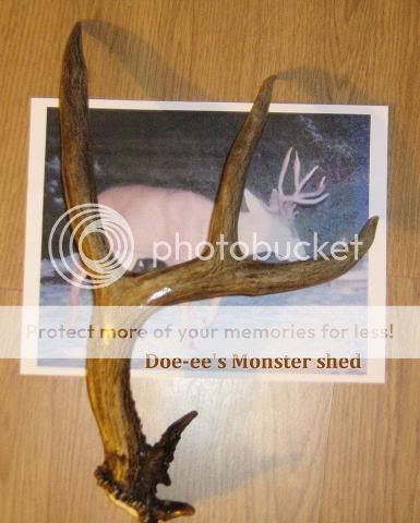 DianasBigShed003.jpg