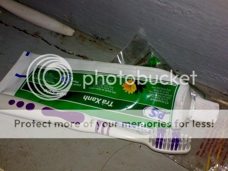 topic về những hình ảnh chụp bằng điện thoại di động - 3