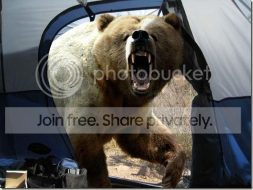 lastimage-thumb.png