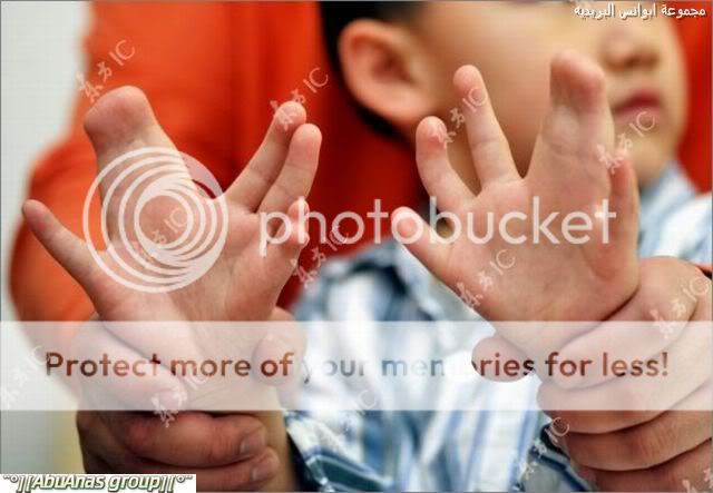 �� ���� �16 �� ����� ����� ������� 31 ���� ���