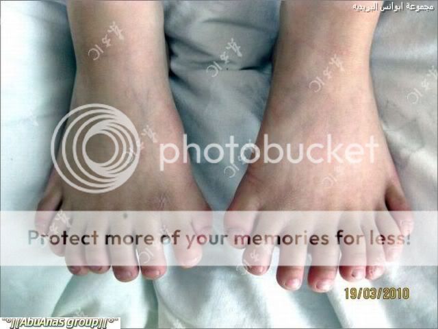 �������� ��� � 31 ���� 